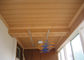 ब्रश सतह के साथ बाथरूम निविड़ अंधकार लकड़ी UPVC दीवार पैनलों